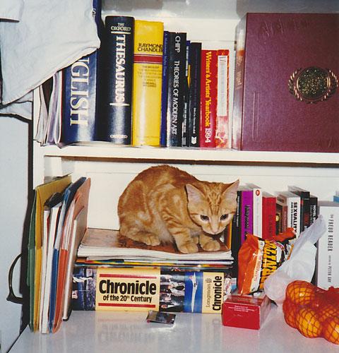 monster.jpg monster.jpg