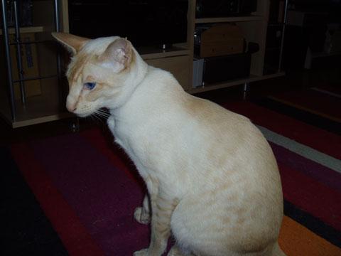 trevor.jpg trevor.jpg