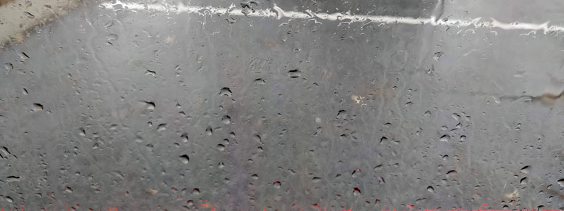 rainy window